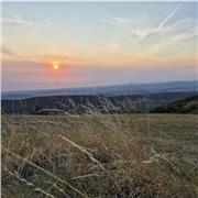 Soutien en français et mathématiques. À bientôt !